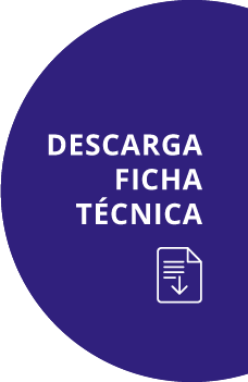 Bot&oacute;n descarga